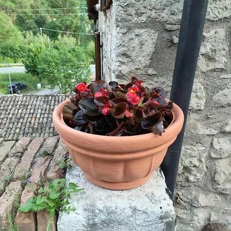 Am Ferentillo Camino E Relax In Valnerina *
