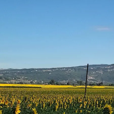 シャレー Am Ferentillo Camino E Relax In Valnerina フェレンティッロ